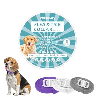 Collare antipulci per cani, 3 colori, durata fino a 2 anni, 65 cm, ingredienti oli essenziali al 100%