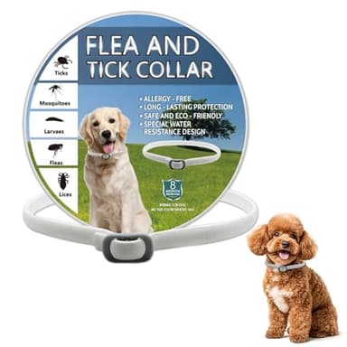 Collare Antiparassitario per Cani, Protezione Naturale e Duratura, Resistente all'Acqua, Fino a 8 Mesi, Adatto a Tutte le Taglie, Senza Allergie, con Profumo di Limone