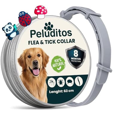 Collare Antiparassitario per Cani Taglia Grande – 8 Mesi di Protezione contro Pulci e Zecche – Regolabile con Oli Essenziali e 3 Charms Inclusi – 63 cm