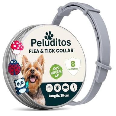 Collare Antiparassitario per Cani Taglia Piccola – 8 Mesi di Protezione contro Pulci e Zecche – Regolabile con Oli Essenziali e 3 Charms Inclusi – 38 cm